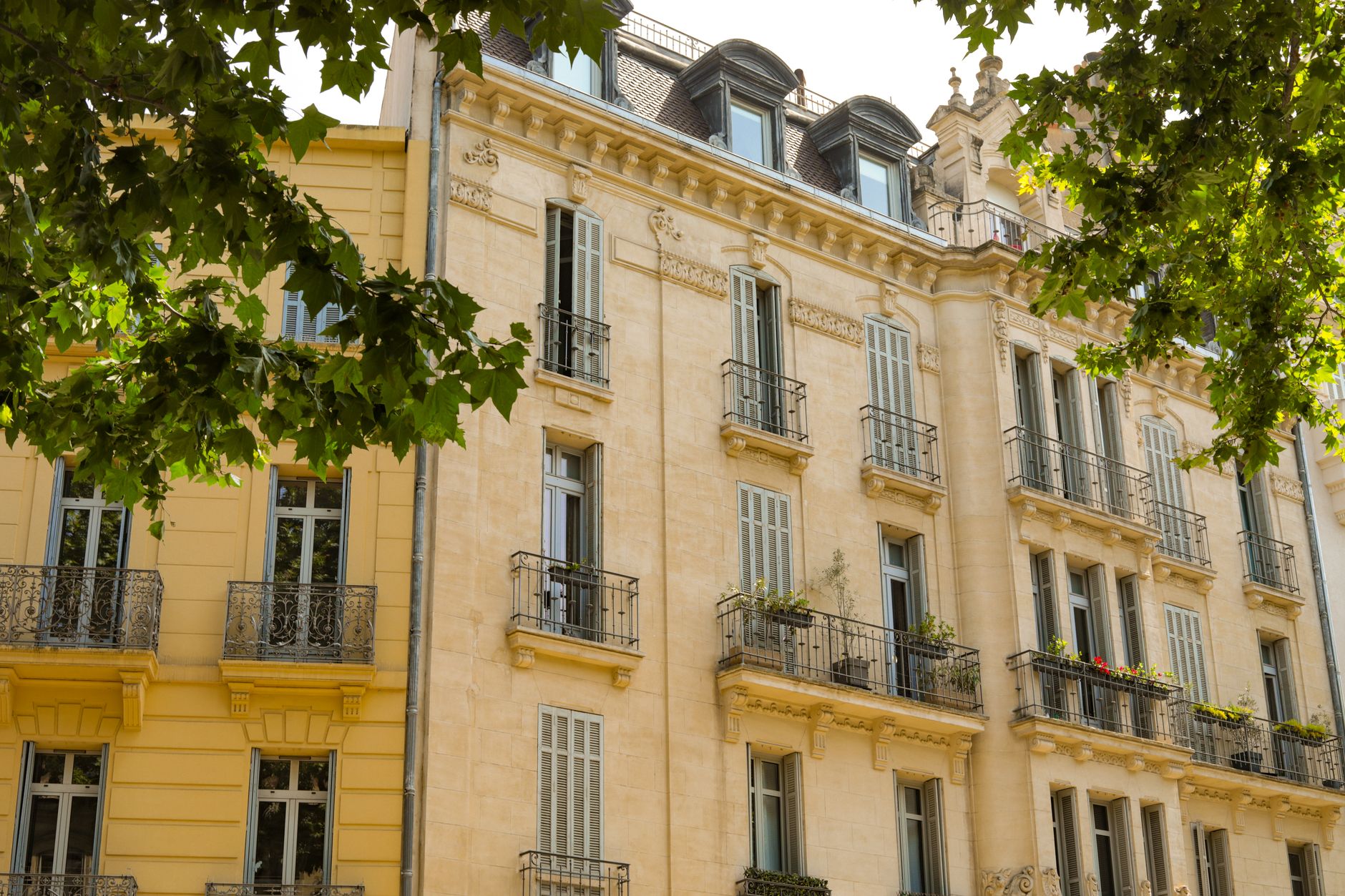 Agence immobilière à Saint-Paul